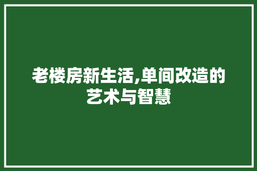 老楼房新生活,单间改造的艺术与智慧
