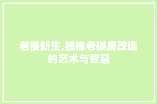 老楼新生,独栋老楼房改造的艺术与智慧