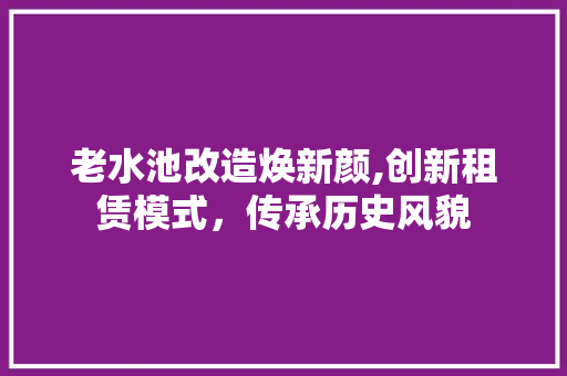 老水池改造焕新颜,创新租赁模式，传承历史风貌