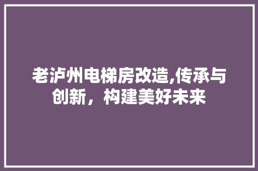 老泸州电梯房改造,传承与创新，构建美好未来