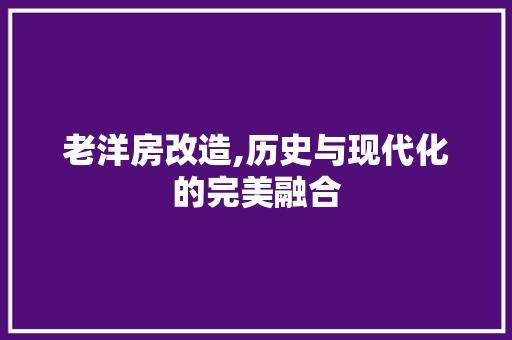 老洋房改造,历史与现代化的完美融合