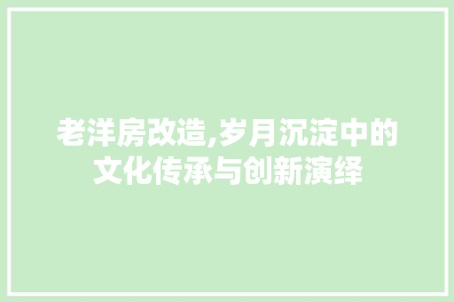 老洋房改造,岁月沉淀中的文化传承与创新演绎