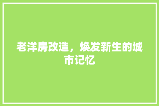 老洋房改造，焕发新生的城市记忆 厨房维修