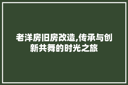 老洋房旧房改造,传承与创新共舞的时光之旅