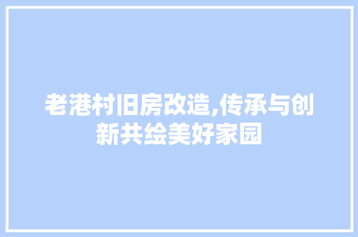 老港村旧房改造,传承与创新共绘美好家园