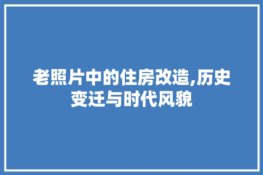 老照片中的住房改造,历史变迁与时代风貌