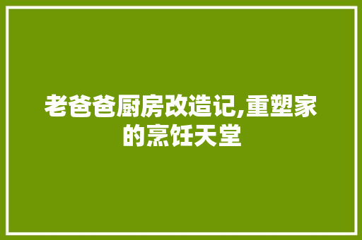 老爸爸厨房改造记,重塑家的烹饪天堂