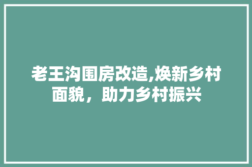 老王沟围房改造,焕新乡村面貌，助力乡村振兴