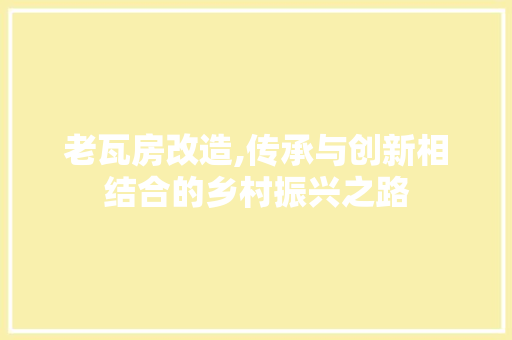 老瓦房改造,传承与创新相结合的乡村振兴之路