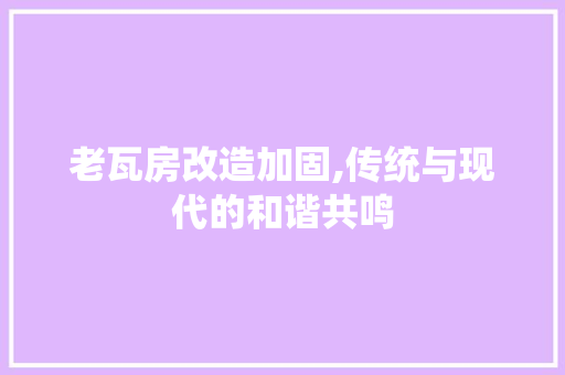 老瓦房改造加固,传统与现代的和谐共鸣