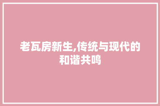 老瓦房新生,传统与现代的和谐共鸣