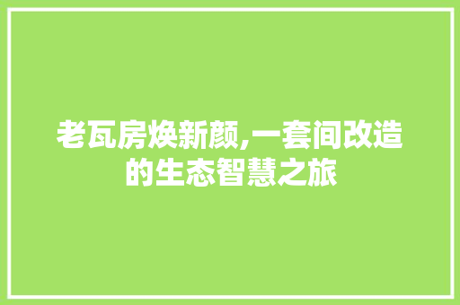 老瓦房焕新颜,一套间改造的生态智慧之旅