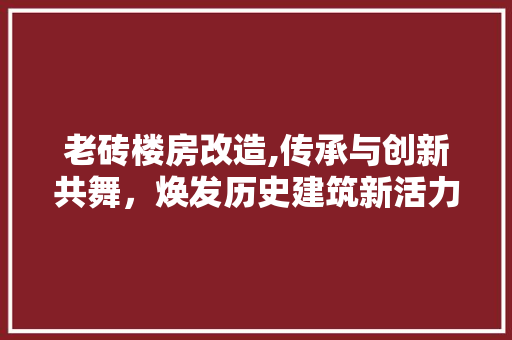 老砖楼房改造,传承与创新共舞，焕发历史建筑新活力 综合便民