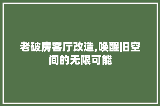 老破房客厅改造,唤醒旧空间的无限可能 汽车维修