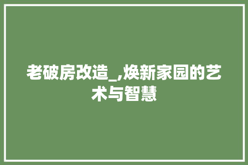 老破房改造_,焕新家园的艺术与智慧