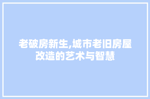 老破房新生,城市老旧房屋改造的艺术与智慧 汽车维修