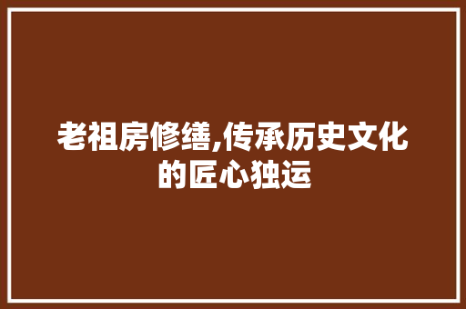 老祖房修缮,传承历史文化的匠心独运