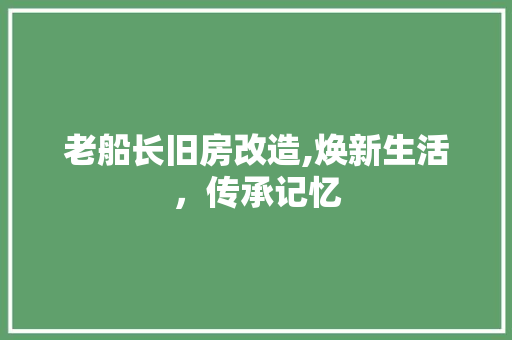 老船长旧房改造,焕新生活，传承记忆 家电维修