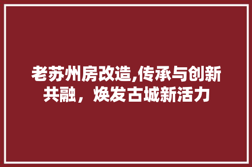 老苏州房改造,传承与创新共融，焕发古城新活力 墙体维修