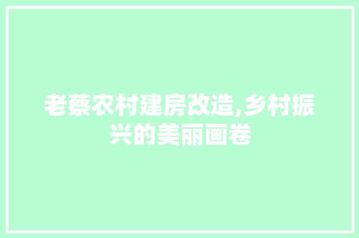 老蔡农村建房改造,乡村振兴的美丽画卷 墙体维修