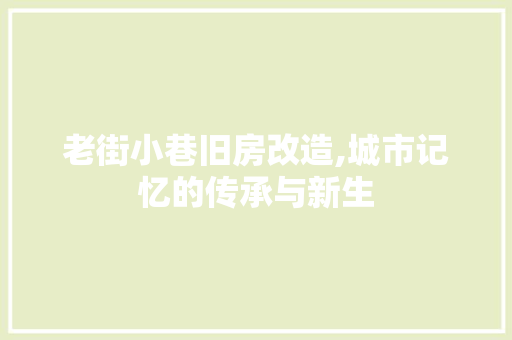 老街小巷旧房改造,城市记忆的传承与新生 家电维修