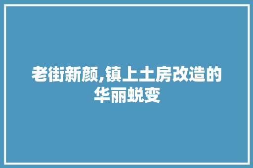 老街新颜,镇上土房改造的华丽蜕变 家电维修