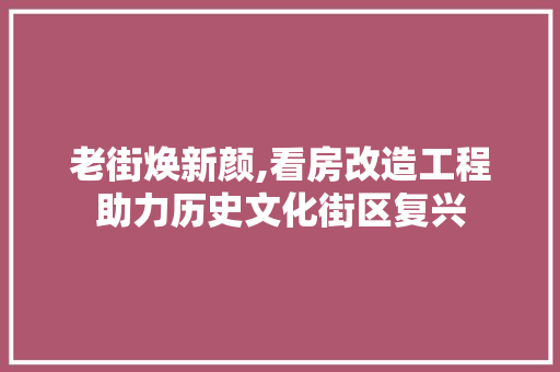 老街焕新颜,看房改造工程助力历史文化街区复兴 汽车维修