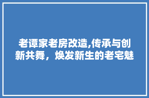 老谭家老房改造,传承与创新共舞，焕发新生的老宅魅力