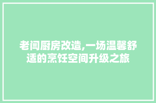 老闫厨房改造,一场温馨舒适的烹饪空间升级之旅