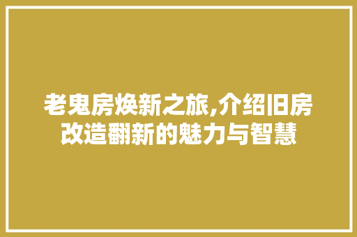 老鬼房焕新之旅,介绍旧房改造翻新的魅力与智慧