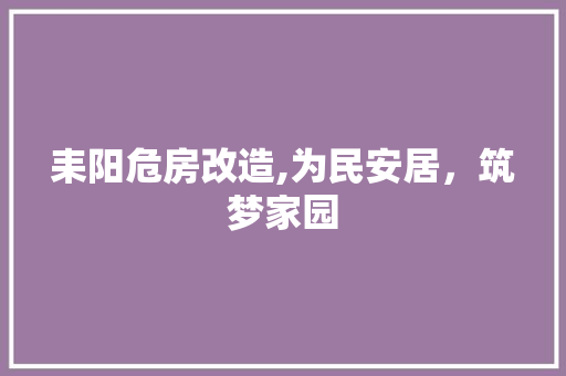 耒阳危房改造,为民安居，筑梦家园