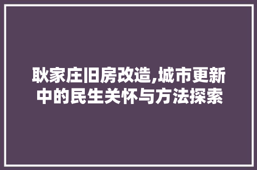 耿家庄旧房改造,城市更新中的民生关怀与方法探索