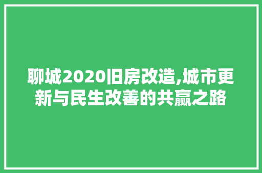 聊城2020旧房改造,城市更新与民生改善的共赢之路