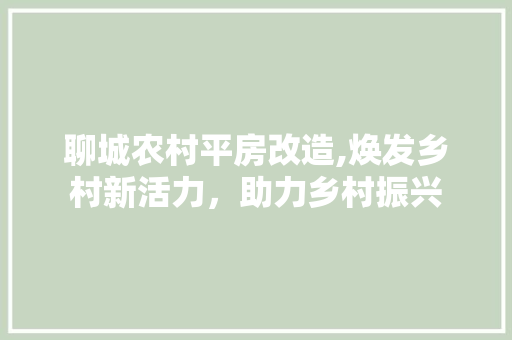 聊城农村平房改造,焕发乡村新活力，助力乡村振兴