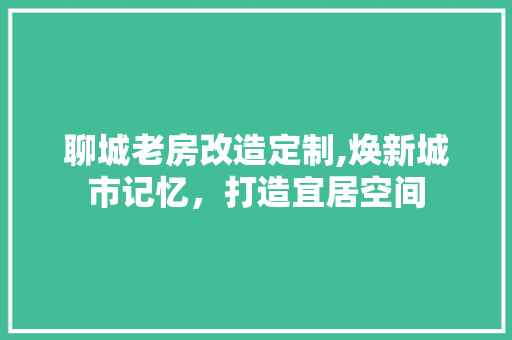 聊城老房改造定制,焕新城市记忆，打造宜居空间 家电维修