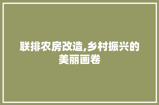 联排农房改造,乡村振兴的美丽画卷