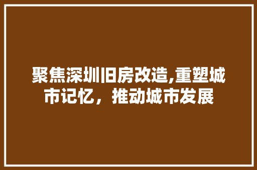 聚焦深圳旧房改造,重塑城市记忆，推动城市发展