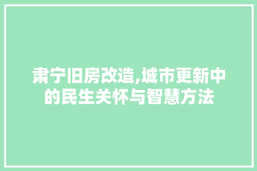肃宁旧房改造,城市更新中的民生关怀与智慧方法