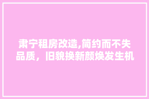 肃宁租房改造,简约而不失品质，旧貌换新颜焕发生机