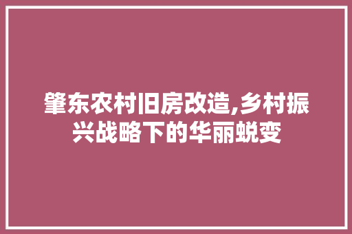 肇东农村旧房改造,乡村振兴战略下的华丽蜕变