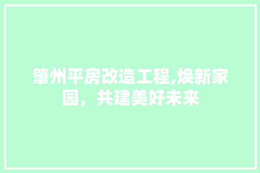 肇州平房改造工程,焕新家园，共建美好未来