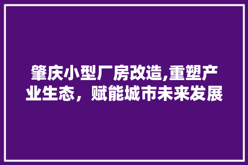 肇庆小型厂房改造,重塑产业生态，赋能城市未来发展
