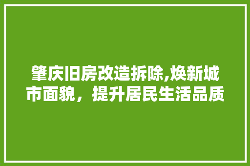 肇庆旧房改造拆除,焕新城市面貌，提升居民生活品质 家电维修
