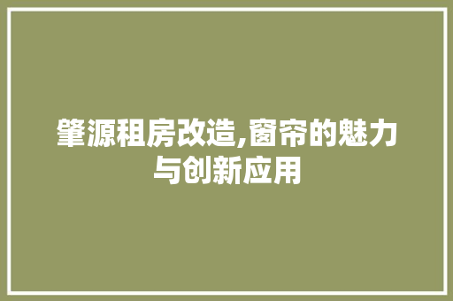肇源租房改造,窗帘的魅力与创新应用