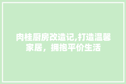 肉桂厨房改造记,打造温馨家居，拥抱平价生活