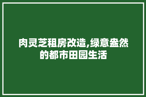 肉灵芝租房改造,绿意盎然的都市田园生活