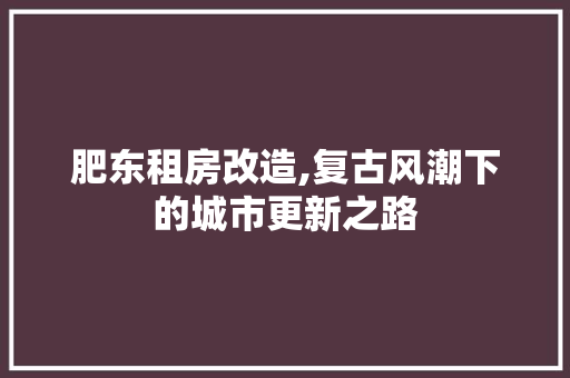 肥东租房改造,复古风潮下的城市更新之路