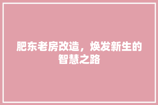 肥东老房改造，焕发新生的智慧之路
