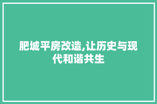肥城平房改造,让历史与现代和谐共生