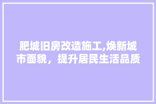 肥城旧房改造施工,焕新城市面貌，提升居民生活品质